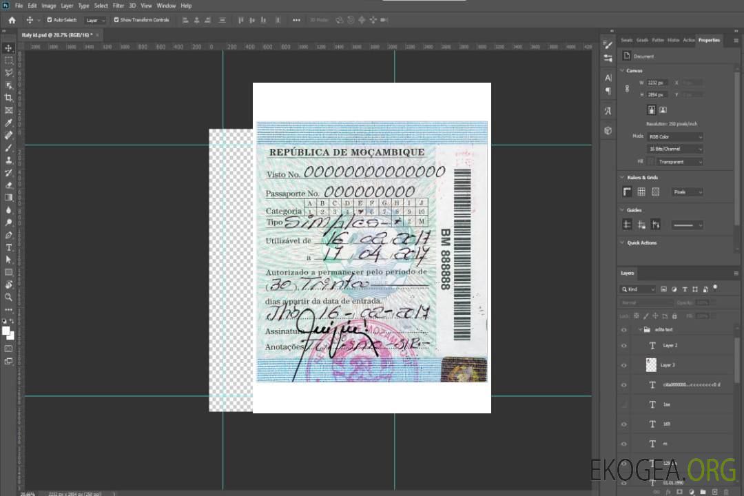 Visa simple MOZAMBIQUE template